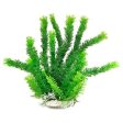 Aquatop Cabomba Aquarium Plant with Weighted Base Green 1ea 6 in For Sale