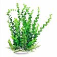 Aquatop Bacopa Aquarium Plant w Weighted Base Green 1ea 6 in on Sale