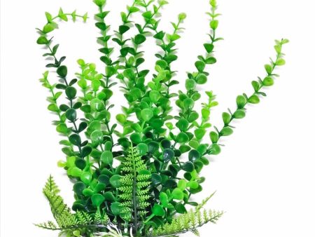 Aquatop Bacopa Aquarium Plant w Weighted Base Green 1ea 6 in on Sale