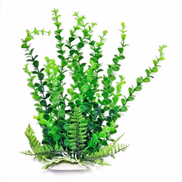 Aquatop Bacopa Aquarium Plant w Weighted Base Green 1ea 6 in on Sale