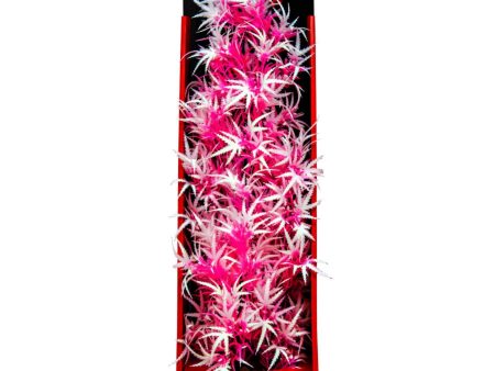 Aquatop Aquatop Vibrant Fluorescent Cannabis Plant Pink Frost, 1ea 16 in Sale