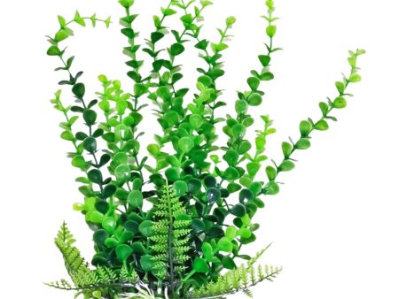 Aquatop Bacopa Aquarium Plant w Weighted Base Green 1ea 9 in Online Hot Sale