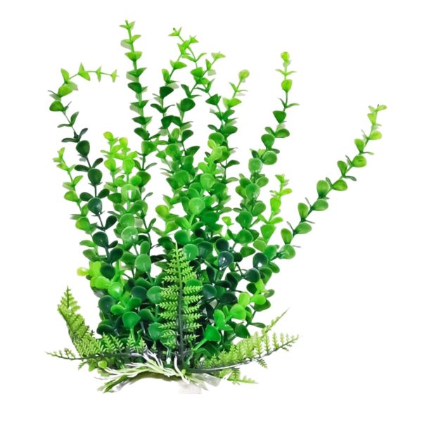 Aquatop Bacopa Aquarium Plant w Weighted Base Green 1ea 9 in Online Hot Sale