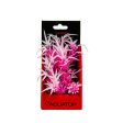 Aquatop Aquatop Vibrant Fluorescent Cannabis Plant Pink Frost, 1ea 6 in For Discount