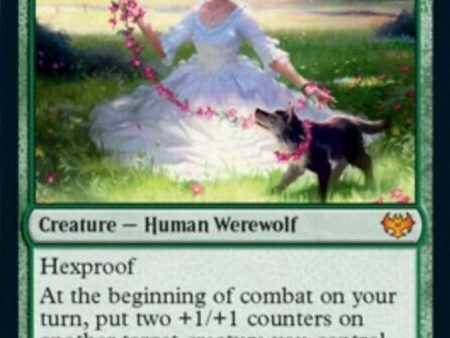 Avabruck Caretaker    Hollowhenge Huntmaster [Innistrad: Crimson Vow] For Discount