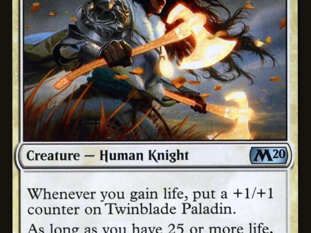 Twinblade Paladin [The List] Online Sale