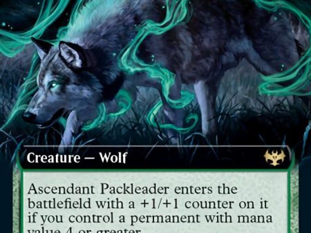 Ascendant Packleader (Extended Art) [Innistrad: Crimson Vow] Online