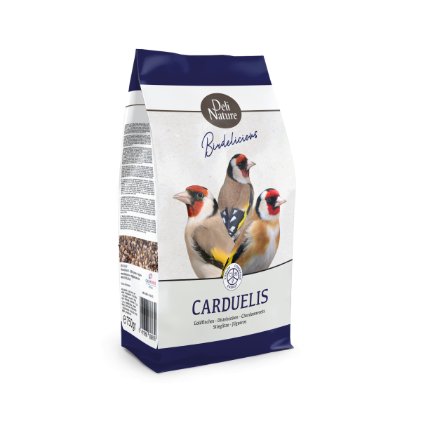 97-BIRDLICIOUS CARDUELIS on Sale