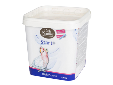 DN START + HIGH PROTEIN Online